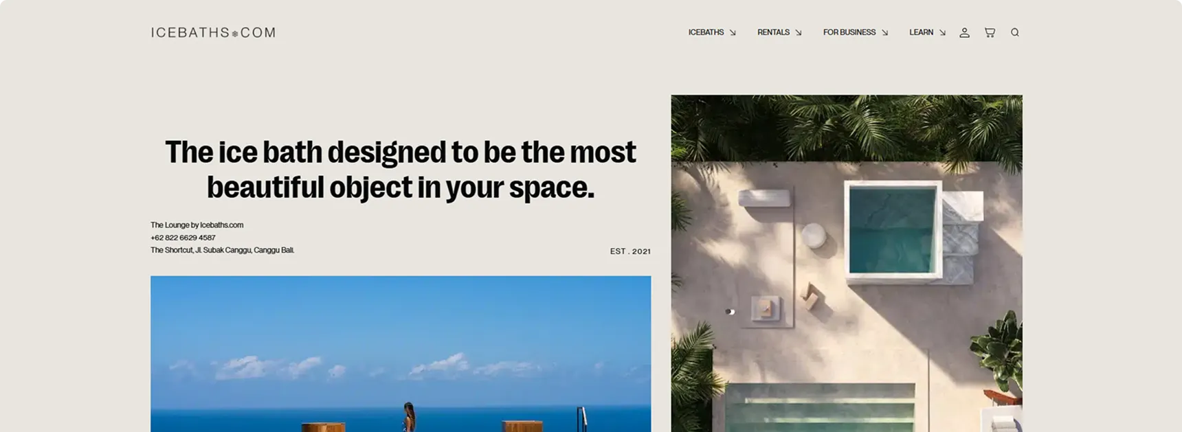 icebaths.com homepage hero — the ice bath designed to be the most beautiful object in your space